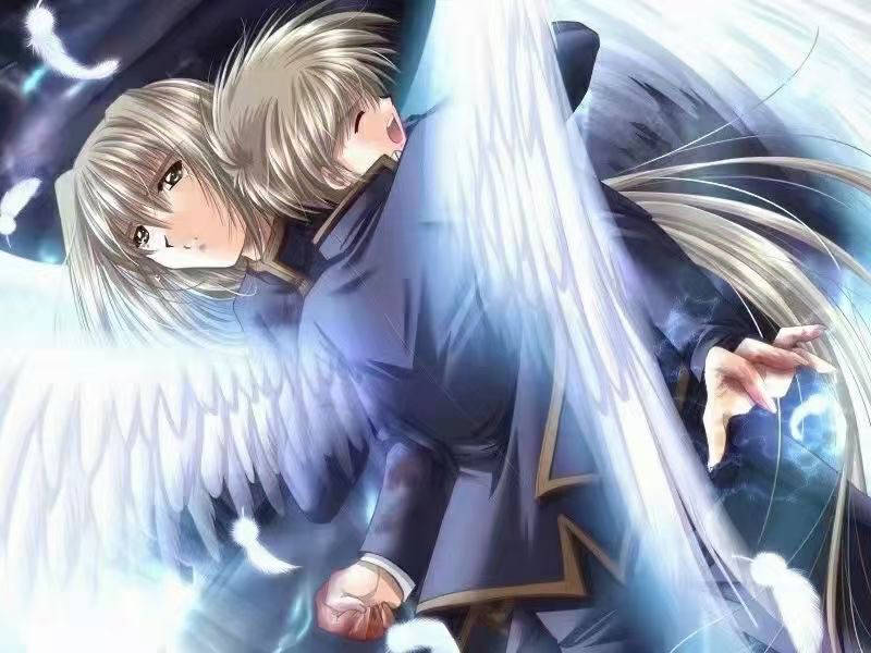 【动漫】天使之羽 百度网盘